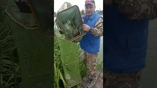 24 июня 2023 г.