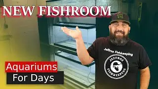 Im setting up an Aquarium fishroom in my Basement