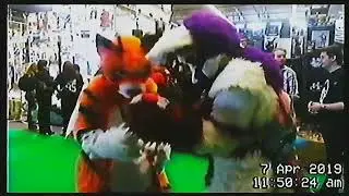 facts 2019: furclip 1