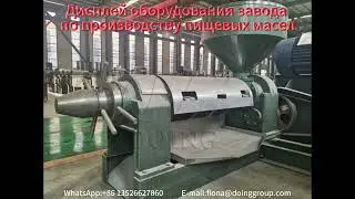 Переработка растительного масла завод, оборудование для переработки масла#оборудование #технология