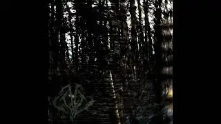 Death Was Looming - Irrevocable (Black/Death Metal)
