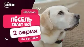 Пёсель знает всё — 2 серия | Русская озвучка