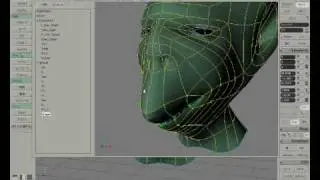 shapemanager.avi