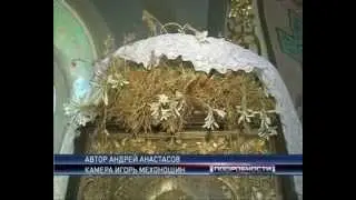 с. Кулевча. Свято-Николаевский храм.