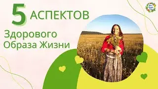 Здоровый образ жизни Здоровое питание Веганство Вегетарианство Проект DinaVeganClub