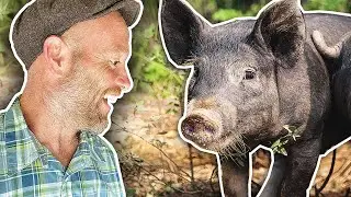 My One Acre Pig Farm Comes Full Circle