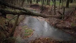 Last shot to get a picture!