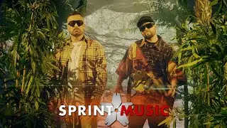 Mr. VIK ❌ Alex Mica - Maribella | Official Video