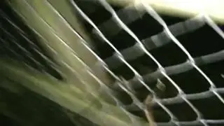 Exploring haunted forest goes wrong