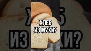 ПРИДУМАЛИ ХЛЕБ ИЗ МУХИ? ЕДА ИЗ НАСЕКОМЫХ ПОЛЕЗНА #новости #тренды #еда #shors