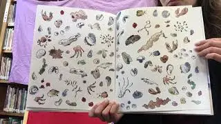 Storytime with Miss Maureen - Ocean