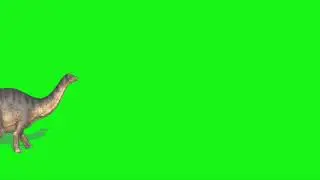 Green Screen Footage || Animals dinosaur || Greenscreen Animations