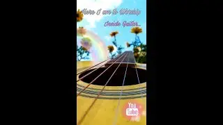 Here I Am To Worship - (Fingerstyle Guitar Cover by shalom) Inside Guitar.