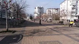 Каштаны нарядили!