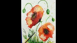 Как нарисовать маки акварелью. Watercolor poppies