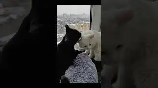 как хорошо, что мы есть друг у друга...