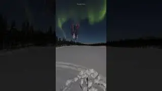 28 июля 2023 г.