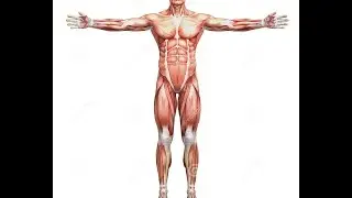 Spore - Best human creation!