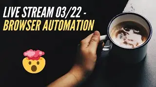 Browser Automation Chat