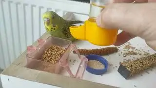 ,
