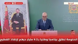 الحكومة تطلق برنامجا وطنيا بـ6.2 مليار درهم لإنقاذ القطيع