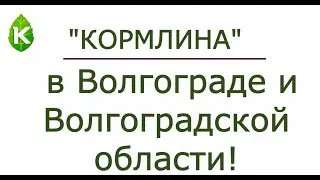 адреса продаж в Волгоградской области
