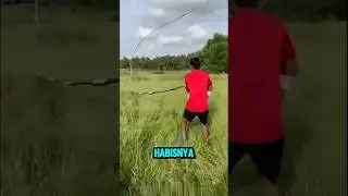 KITE WITH THE LONGEST TAIL IN THE WORLD❗️