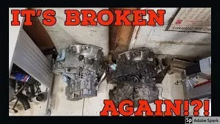 Blacksheep 1g DSM trans removal