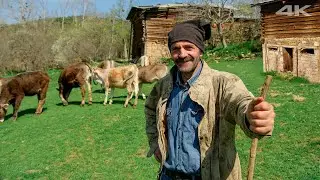 Village Life in Spring | Documentary Film