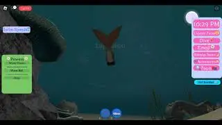 Roblox: Mako Island : Ocean World 🏝️RP(Secret)