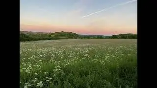 oDDling - Illusory (speed up + reverb)