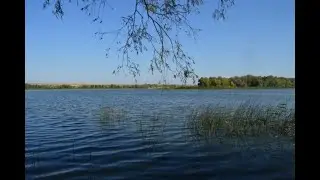 Hiking the Don River and the Steppe Birdwatching Наблюдение за птицами
