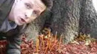 A Weird Vlog