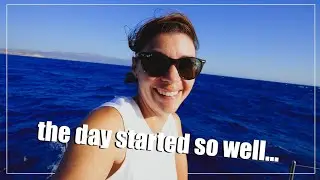 A Wild Sail Followed by a HUGE Mistake