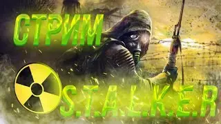 СТРИМ СТАЛКЕР|S.T.A.L.K.E.R |ТЫ ЧО ЧОРТ? А МОЖЕТ ТЫ ЧОРТ!?|ЗАХОДИ ТУТ БОЛТАЕМ