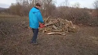 сейчас я завожу бензопилу и пилю неё дрова
