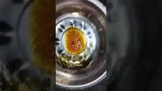 Pure Honey Test