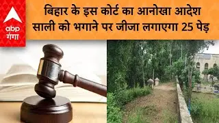बिहार के इस कोर्ट का आनोखा आदेश ,साली को भगाने पर जीजा लगाएगा 25 पेड़ | ABP GANGA