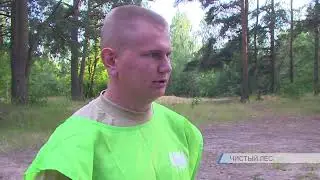 Чистый лес