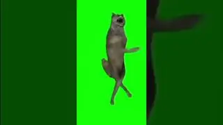 Волк танцует