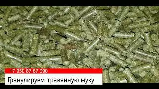 Как гранулировать травяную муку? Гранулятор для травы и сена