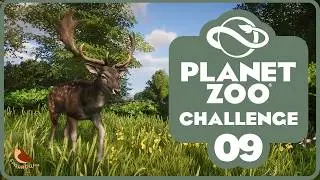 Introducing the Wisent Breeding Program! (and Deer Park) | Whispering Woods | Planet Zoo | #9