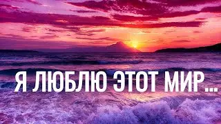 Я люблю этот мир.
