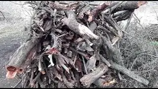 День прошёл, что сделано / Жизнь в селе.