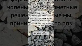 Мы творцы своей жизни☝️#мотивациянауспех #мудрыеслова #цитаты #motivation #motivational #рек