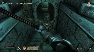 TES IV Oblivion 