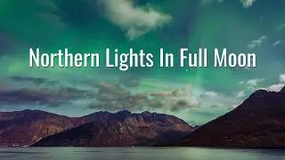 Northern Lights Timelapse, Senja & Lofoten Norway