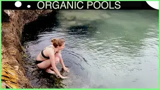 Natural Pool Hidden in Plain Sight