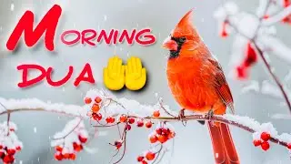 Beautiful MORNING DUA ☀️🤲 For Protection Blessings & Rizq | Morning Prayers recited by OMAR HISHAM