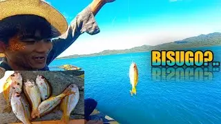 BILIS KAININ ANG PAIN NA SARDINAS EPEKTIBO SA ANUNG KLASENG ISDA |FISHING|HOOK FISHING||Barutiktik